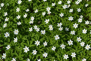 Similar image 624016