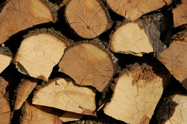 Similar image 624017