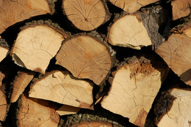 Similar image 624018