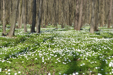 Similar image 624019