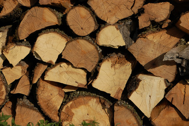 Similar image 624022