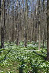 Similar image 624026