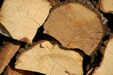 Similar image 624028