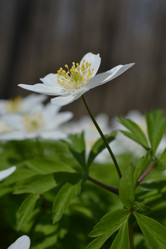 Similar image 624036