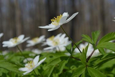 Similar image 624037