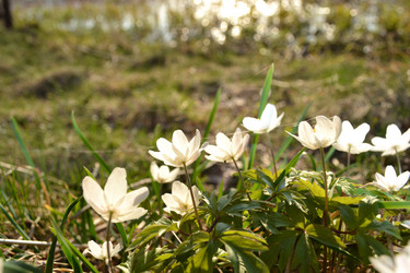 Similar image 624041