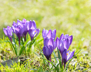 Similar image 624045