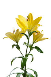 Similar image 624046