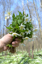 Similar image 624047