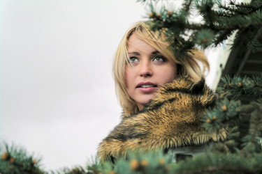 Similar image 624053