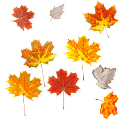 Similar image 624087