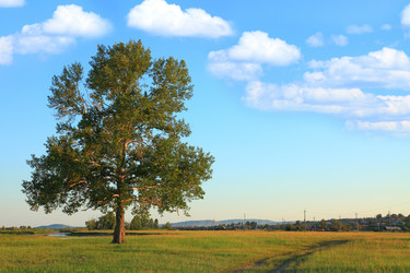 Similar image 624088