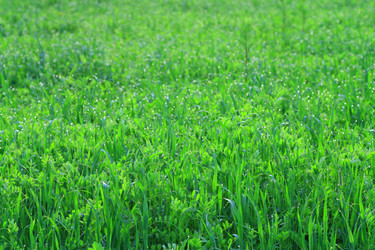 Similar image 624090