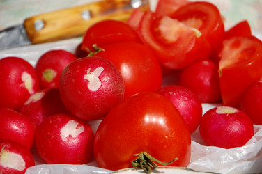 Similar image 624093