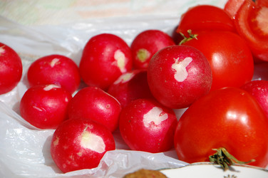 Similar image 624095