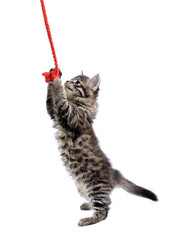 Similar image 624116