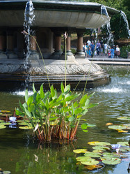 Similar image 624183