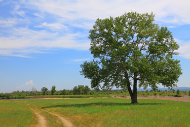 Similar image 624192