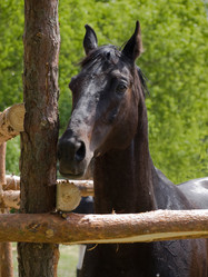 Similar image 624207