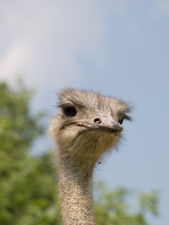 Similar image 624209