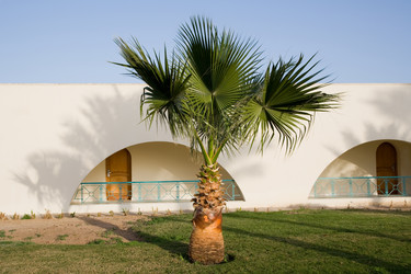 Similar image 624215