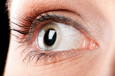 Similar image 624245