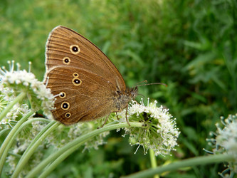 Similar image 624262