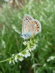 Similar image 624264