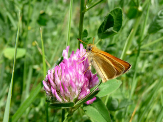 Similar image 624266