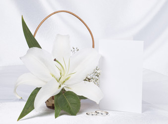 Similar image 624273