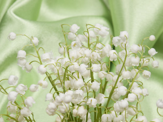 Similar image 624362