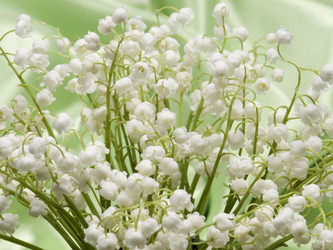 Similar image 624364