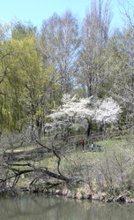 Similar image 624387