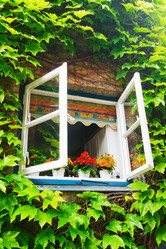 Similar image 624405