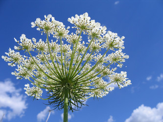 Similar image 624410