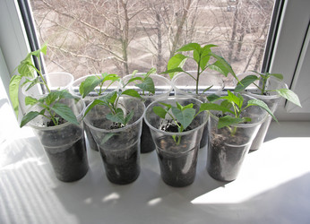 Similar image 624415