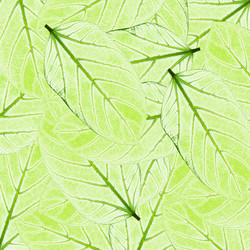 Similar image 624417