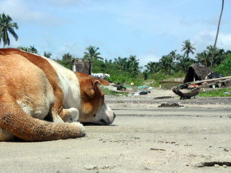 Similar image 624588