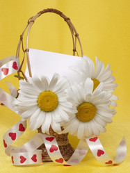 Similar image 624594