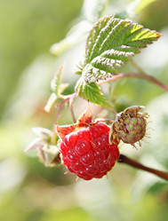 Similar image 624648