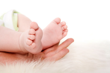 Similar image 624660