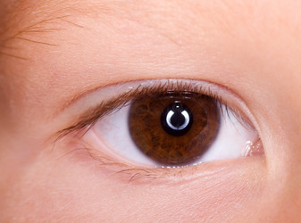 Similar image 624661