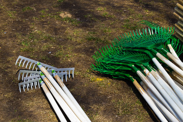 Similar image 624672