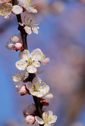 Similar image 624674