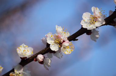 Similar image 624675