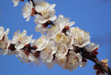 Similar image 624676