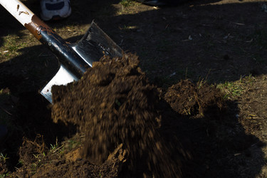 Similar image 624680