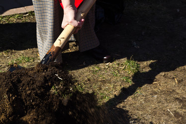 Similar image 624681