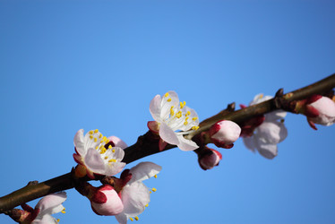 Similar image 624682