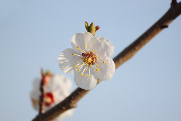 Similar image 624683